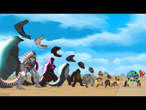 Monster GODZILLA vs KONG: The battle to find the head - Size Comparison | GODZILLA & KONG Cartoon