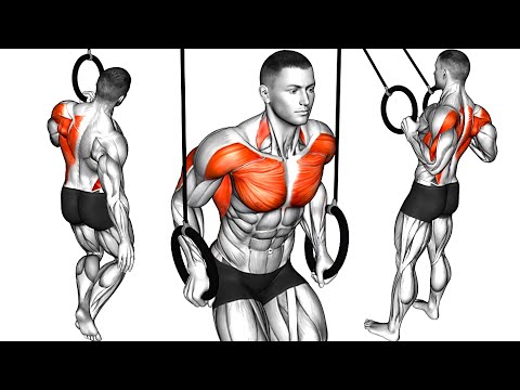 Top 5 Calisthenic Exercises