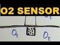 Oxygen Sensor Functions and Importance