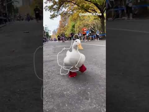 Impossible Pause Game (running duck)