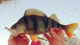видео