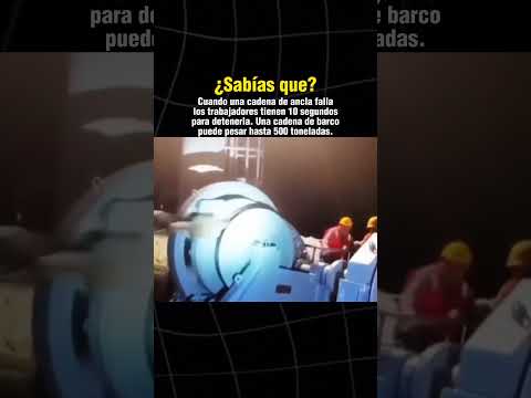 Sígueme para más. #shorts