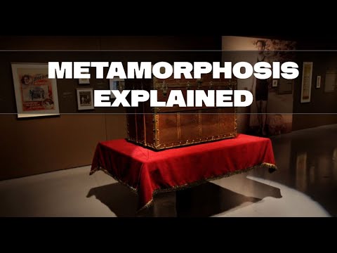 Houdini’s Metamorphosis Explained