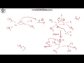 Epoxide Reactions and Mechanisms