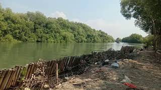 Dulur Mancing 88 LIVE !! #fishing