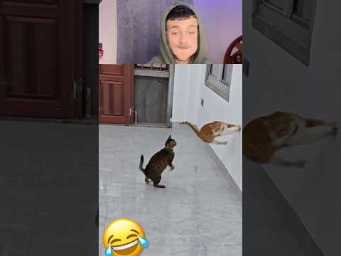 حاول ألا تضحك🤣💦part 75