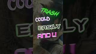 𝙷𝚊𝚝𝚎 𝚖𝚎 𝚑𝚊𝚝𝚎 𝚖𝚎 #edits #cats