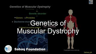 Genetics of Muscular Dystrophy