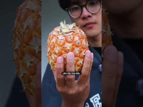 Zứa
