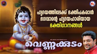 ഹൃദയത്തിലേക്ക് ഭക്തിപകരാൻ ഭഗവാൻ്റെ ഹൃദയഹാരിയായ ഭക്തിഗാനങ്ങൾ |Sree Krishna Devotional Songs Malayalam