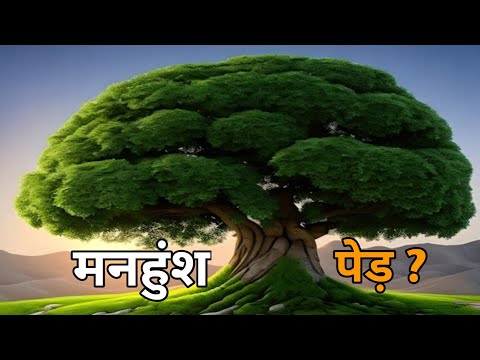 मनहुंश पेड़ ? जीवन की सिख कहानी // life's lesson  #motivational #story #lifelessons