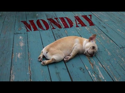 Cure Monday Blues: Listen to this beautiful Monday Blues Playlist of Monday Blues Music