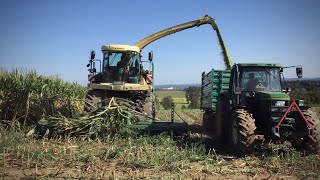 Maishäckseln 2020 // Schwandorf // Fendt  GT 395 // John Deere 6800 // Deutz 8006 // Krone BIG X 580
