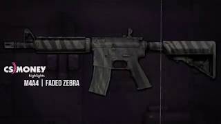M4A4 Faded Zebra Gameplay