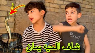 يمان شاف الحيه ورضاوي يكول طوله مترتين 