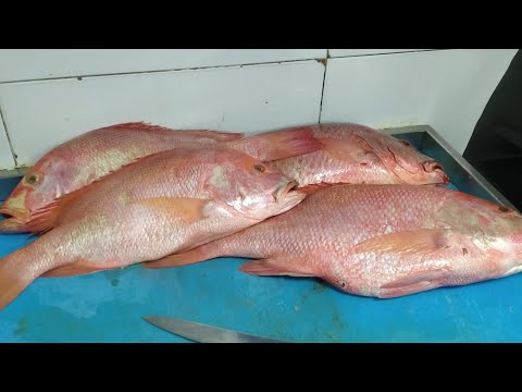 Abhijith KL44 is live