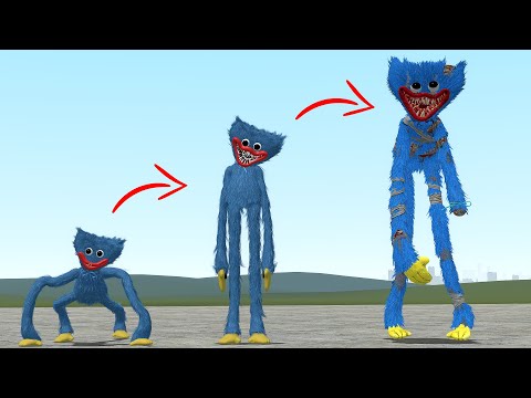 EVOLUTION OF NEW HUGGY WUGGY POPPY PLAYTIME CHAPTER 4 in Garry's Mod!