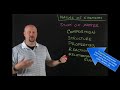 Understanding the Basics of Matter