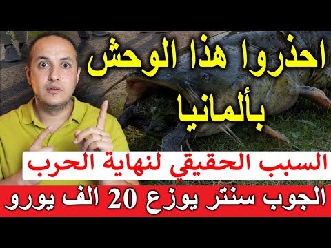 تحذير من وحش خطير يختبيء بالمياه في ألمانيا