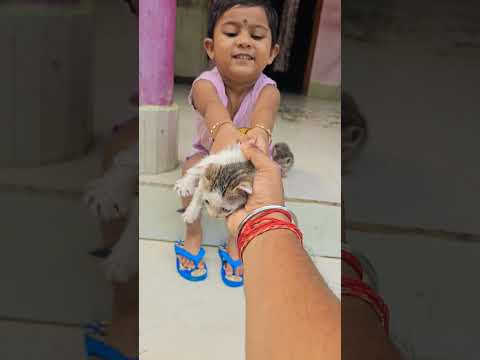 One is mine, One is yours #cute #meow