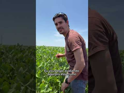 Pouquim caba que tem memo 🤣🐛#primosagro #jaoeseuduardo #humor #agro #lagarta