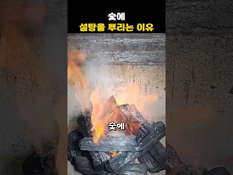 숯에 설탕을 뿌리는 이유