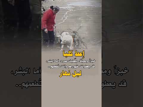 "أعطِ الكلب خبزاً ومحبّة يعطيك عمره عكس بعض البشر #حالات_واتس #عبارات #fpy #foryou #shorts #اكسبلور