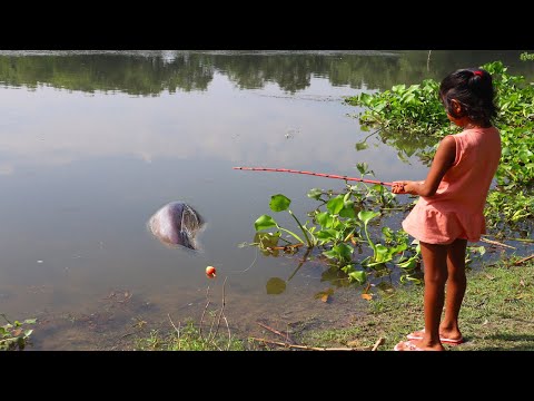 Amazing Fishing Video 2024 ~ Fishing With Hook ~ Traditional Hook Fishing ~ Рыбалка Видео