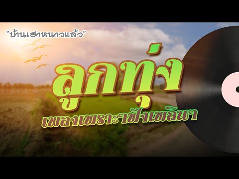 รวมเพลงลูกทุ่ง เพลงเพราะๆฟังเพลินๆ | บ้านเฮาหนาวแล้ว