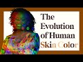 Exploring the Science Behind Human Skin Color Evolution