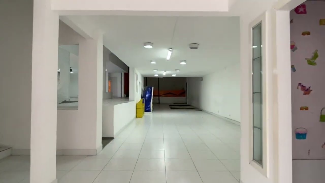 Vídeo