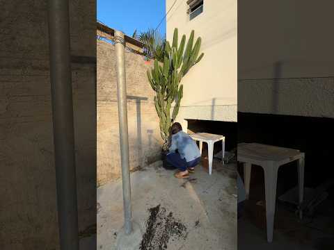 Já imaginando ele na frente da minha casinha própria