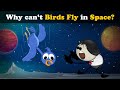 Bird Flight Principles and Challenges