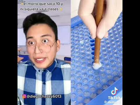 18 de abril de 2024