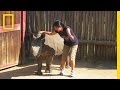 Wildlife Conservation and Rhino Poaching