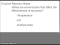 Enzyme Function and Activity Concepts