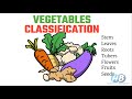 Types of Vegetables and Their Characteristics