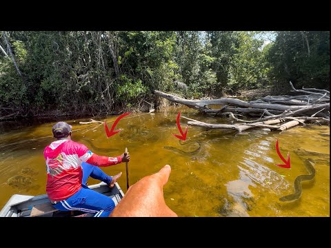 É AÍ QUE MORA O PERIGO! Pescaria alucinante no Rio Trombetas