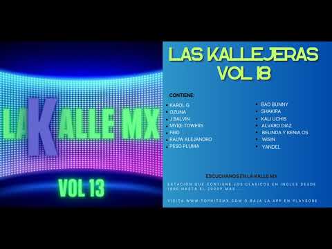 15 Kallejeras del Reggaeton Vol 18 (Colección de La Kalle 21 MX)