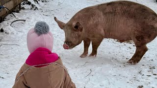 видео