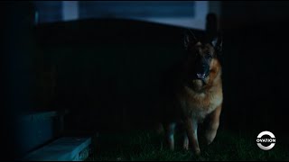 Hudson & Rex | Thief in the Night | Season 4