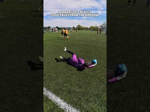3 of 4 really good saves this Saturday! He was way more composed than me