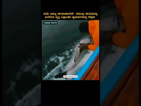 Kindness Still Exists โค๏ธ๐ฌ Man Saves Sea Animal & Wins Hearts ๐ฅบ #Shorts #viral #foryou