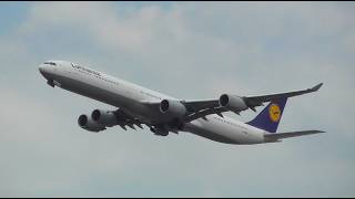 One Heavy after Another! Planespotting at Frankfurt Airport