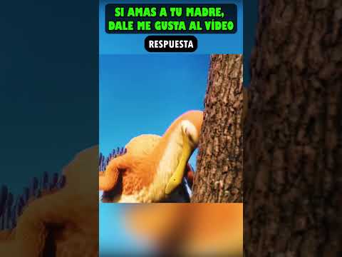 Él no quiso ser padre... ¡y abandonó a su familia!