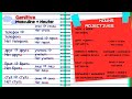 Russian Vocabulary and Negation Practice