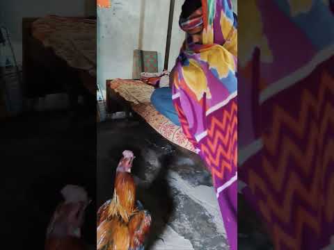 Ranu bombai ki ranu#shorts//indrajitgiri