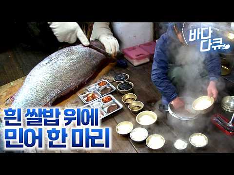 갓 잡아 올린 여름 민어를 바로 회 떠서 뽀얀 쌀 밥 위에  / 이 맛에 배를 끊지 못한다는 민어잡이 선원들 / 배고픈 선원들 위해 솜씨 발휘 하는 조리장 / #바다다큐