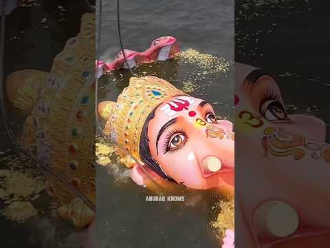 Harsh Reality of Ganesh visarjan in India!