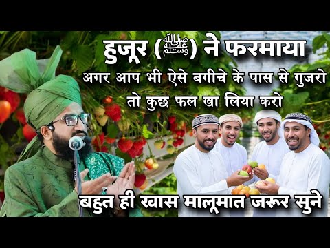 Huzoor (ﷺ) Ka Ye Farman Sun Lo |  इन बगीचों का आप भी ध्यान रखो | Mufti Salman Azhari #islam